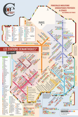 Notre carte des vins de France IGP - Oenanthique Conseil
